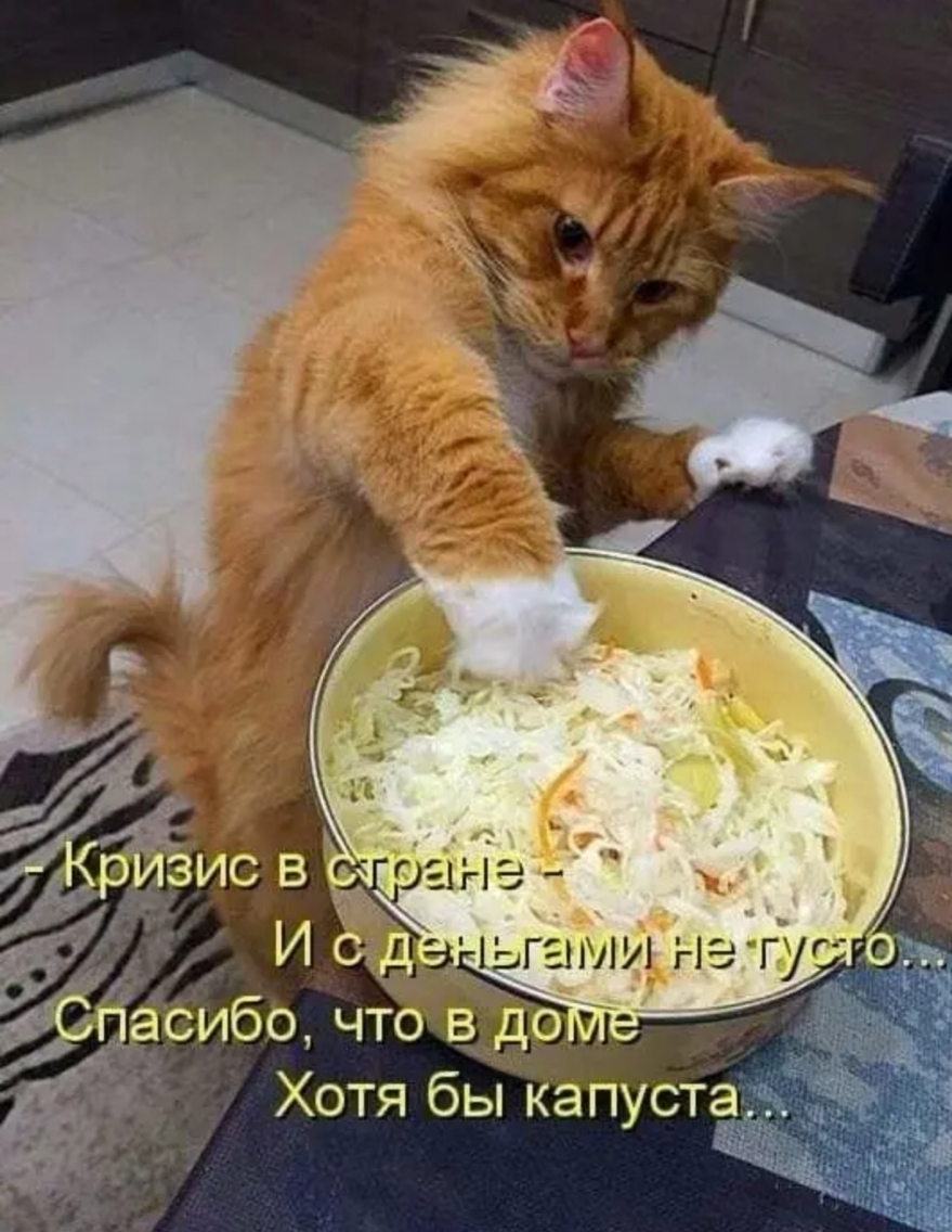 Айриг гуг о _сибо чтовдо _ Хотя бы капуста