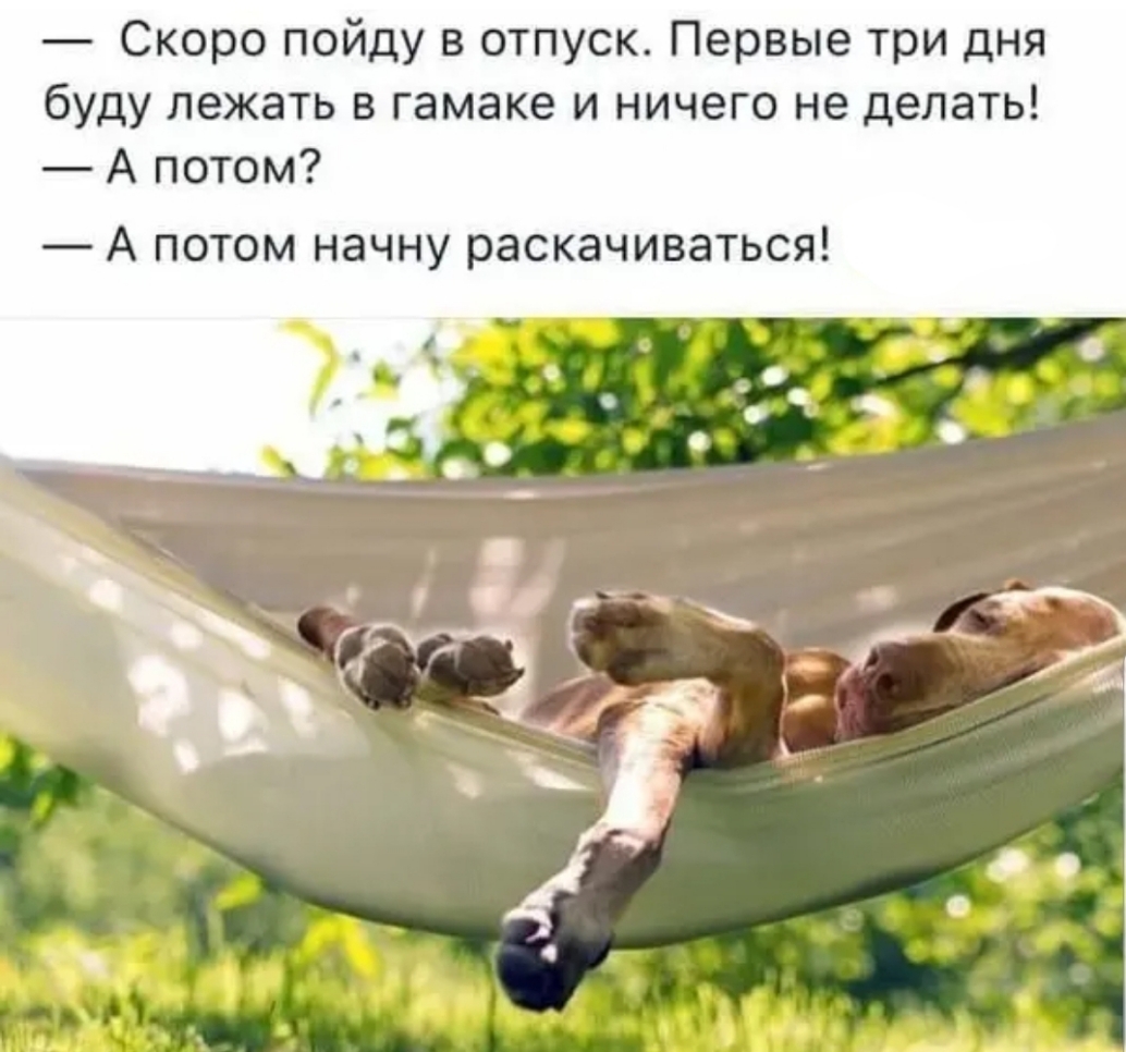 Скоро пойду в отпуск Первые три дня буду лежать в гамаке и ничего не делать А потом А потом начну раскачиваться 7
