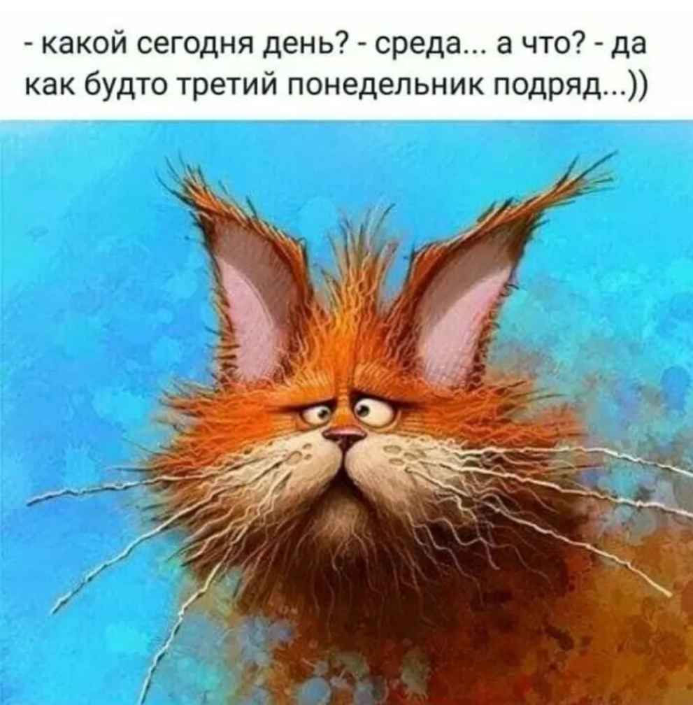 какой сегодня день среда а что да как будто третий понедельник подряд