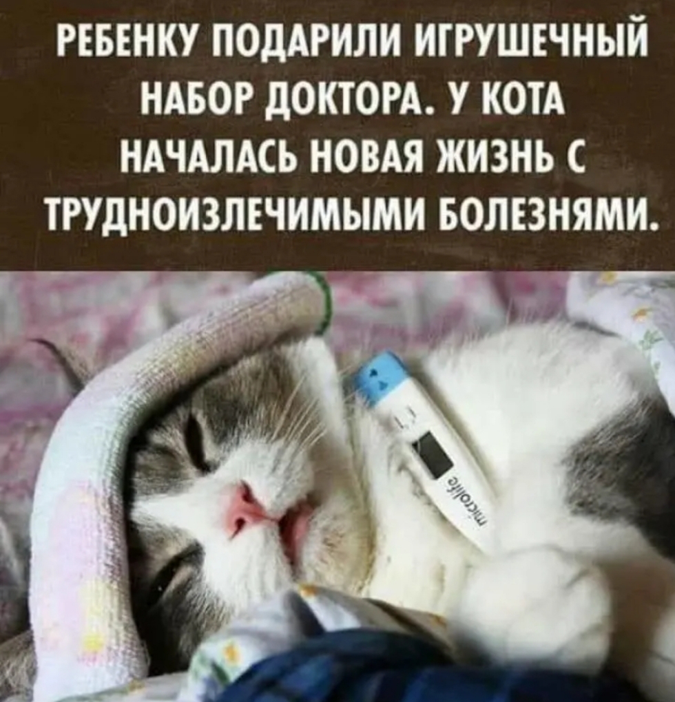 РЕБЕНКУ ПОдАРИЛИ ИГРУШЕЧНЫЙ НАБОР дОКТОРА У КОТА НАЧАЛАСЬ НОВАЯ ЖИЗНЬ ТРУДНОИЗЛЕЧИМЫМИ БОЛЕЗНЯМН