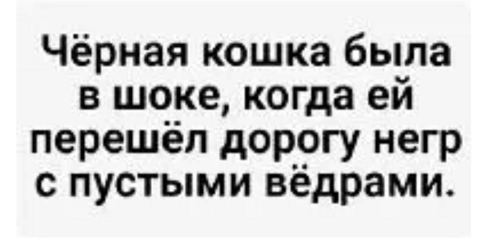 Чёрная кошка была в шоке когда ей перешёл дорогу негр с пустыми вёдрами