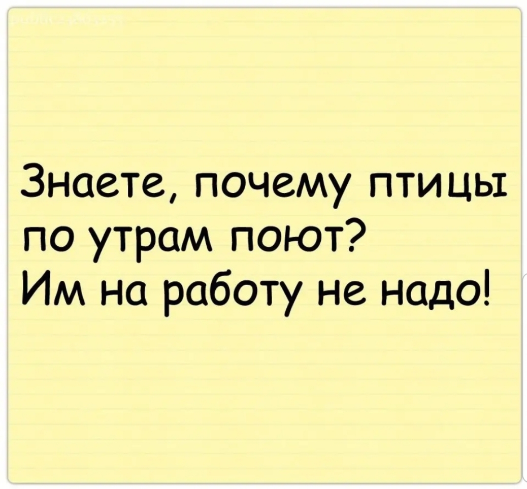 Знаете почему птицы по утрам поют Им на работу не надо
