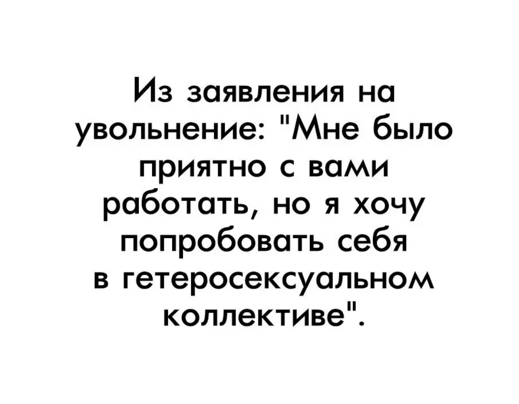 Из заявления на увольнение Мне было приятно с вами работать но я хочу попробовать себя в гетеросексуальном коллективе