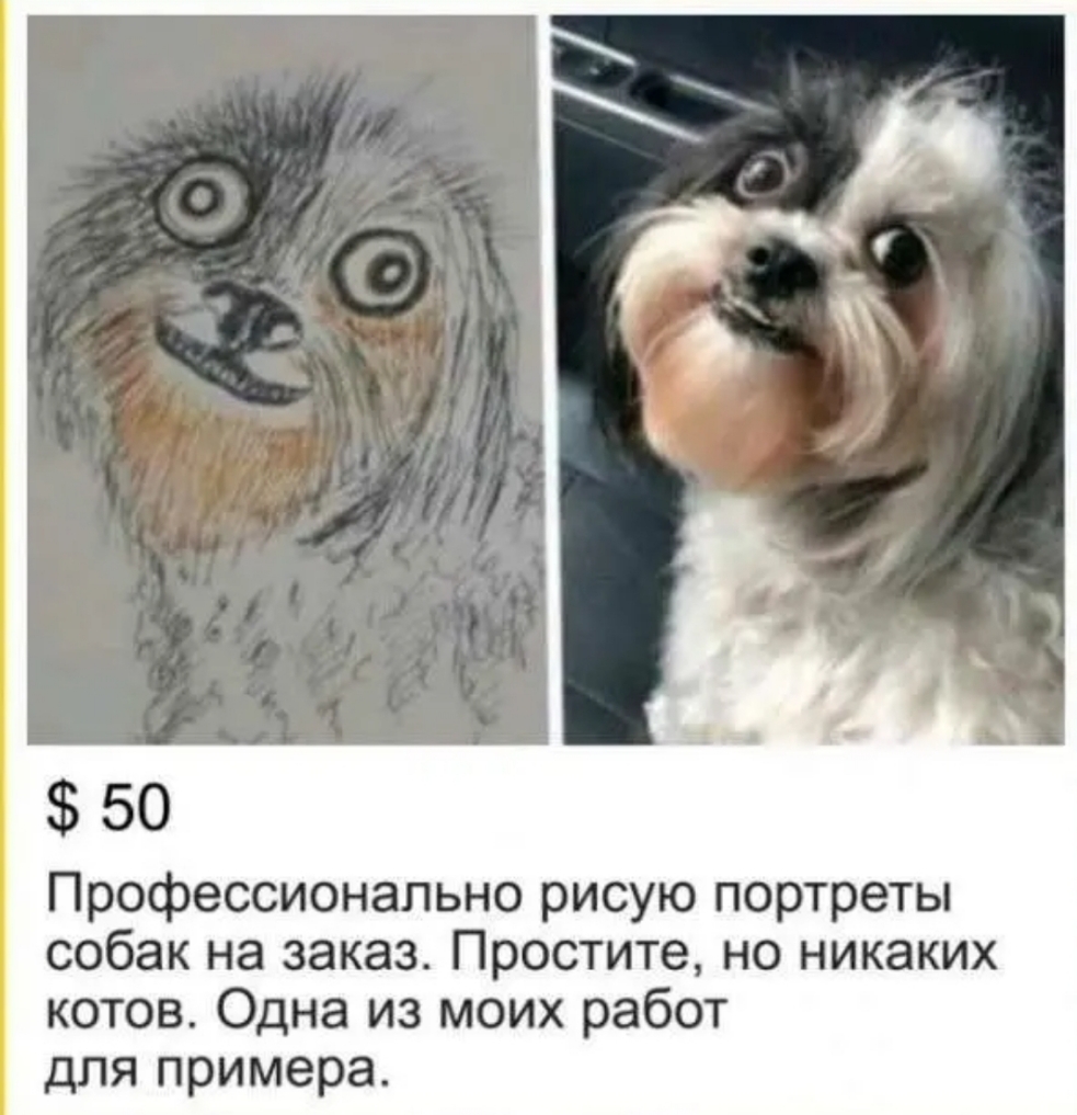 50 Профессионально рисую портреты собак на заказ Простите но никаких котов Одна из моих работ для примера