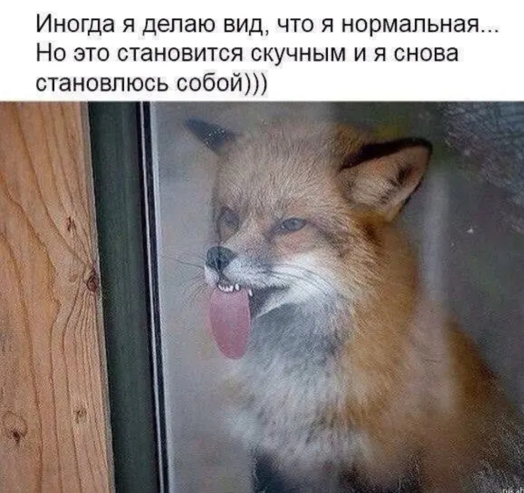 Иногда я делаю вид что я нормальная Но это становится скучным и я снова становлюсь собой