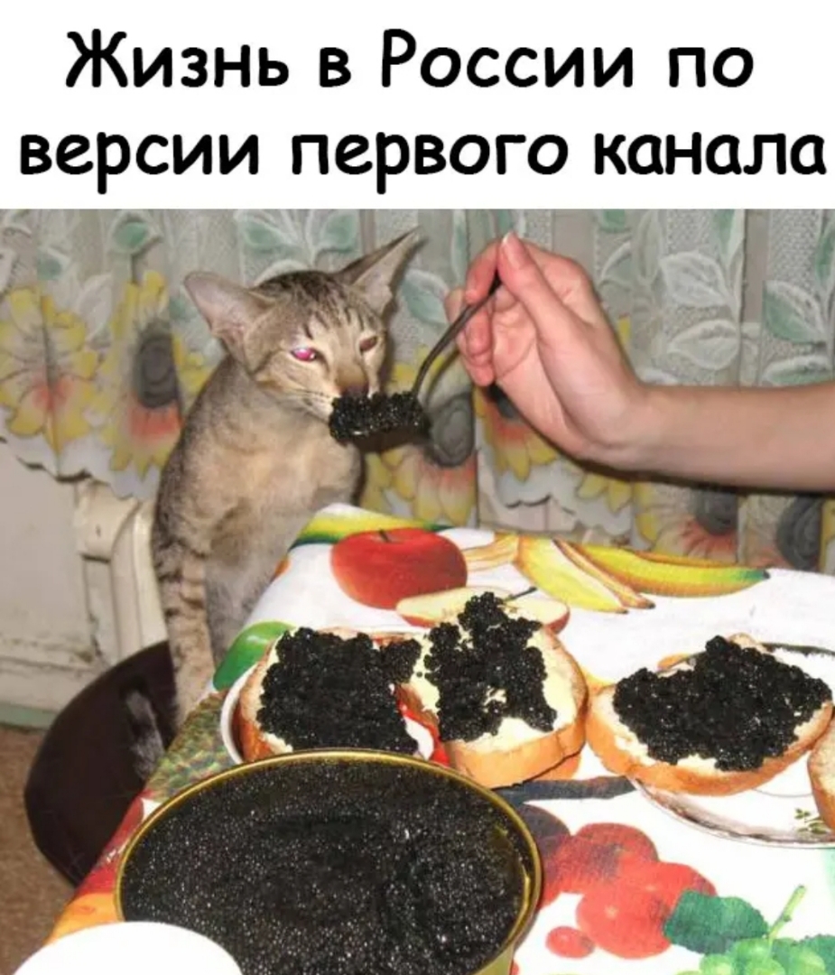 Жизнь в России по