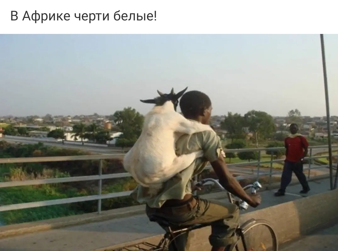 В Африке черти белые