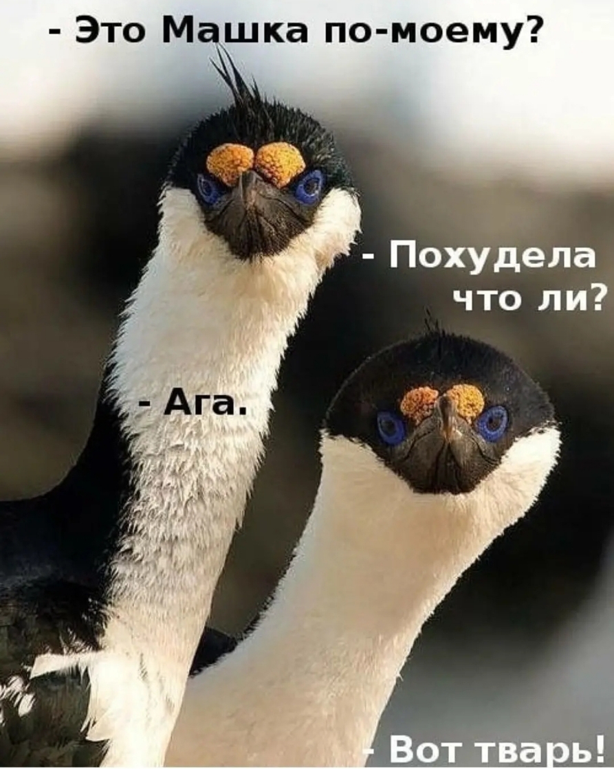 Это Машка по моему Похудела что ли