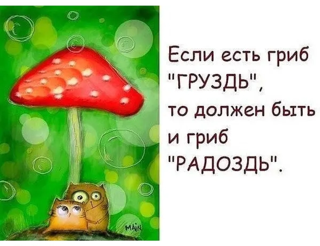 Смешные цитаты про грибы