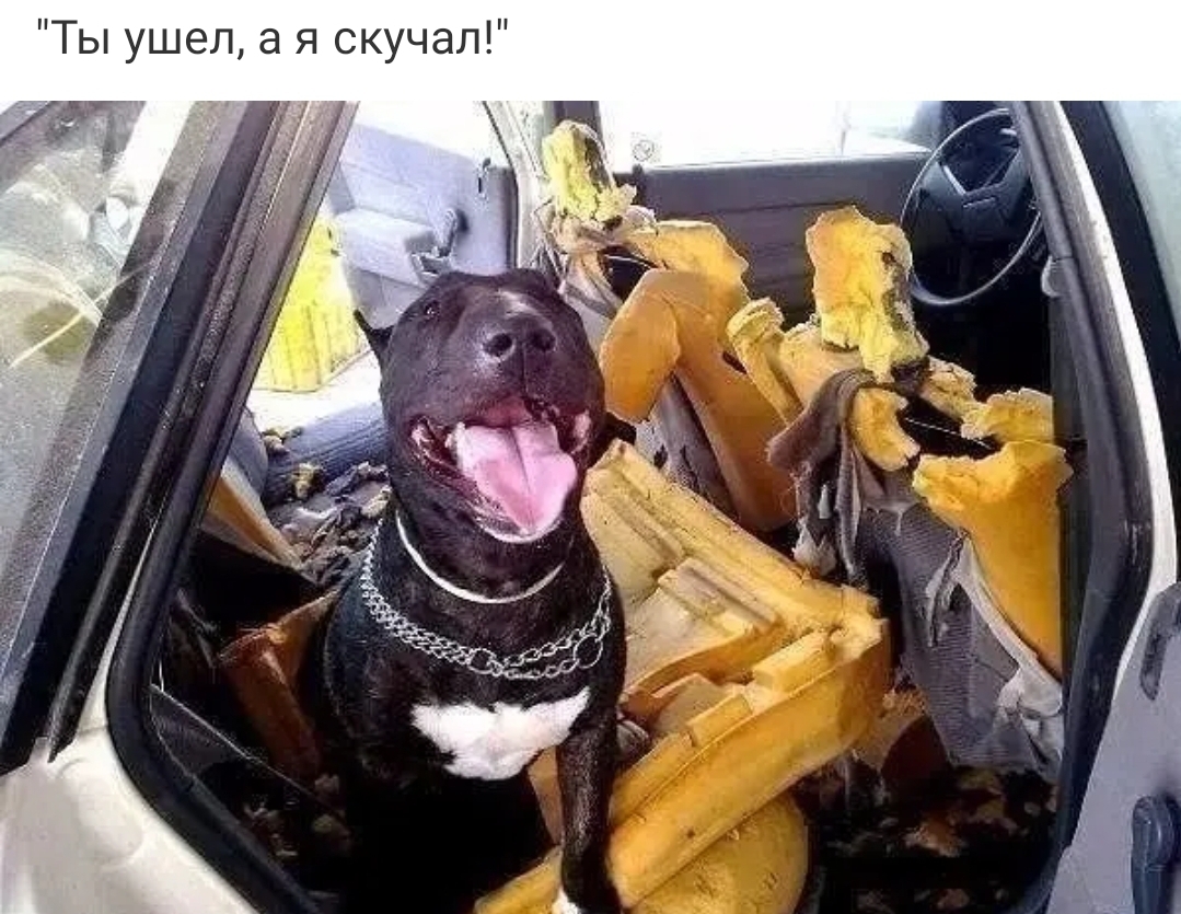 Ты ушел а я скучал