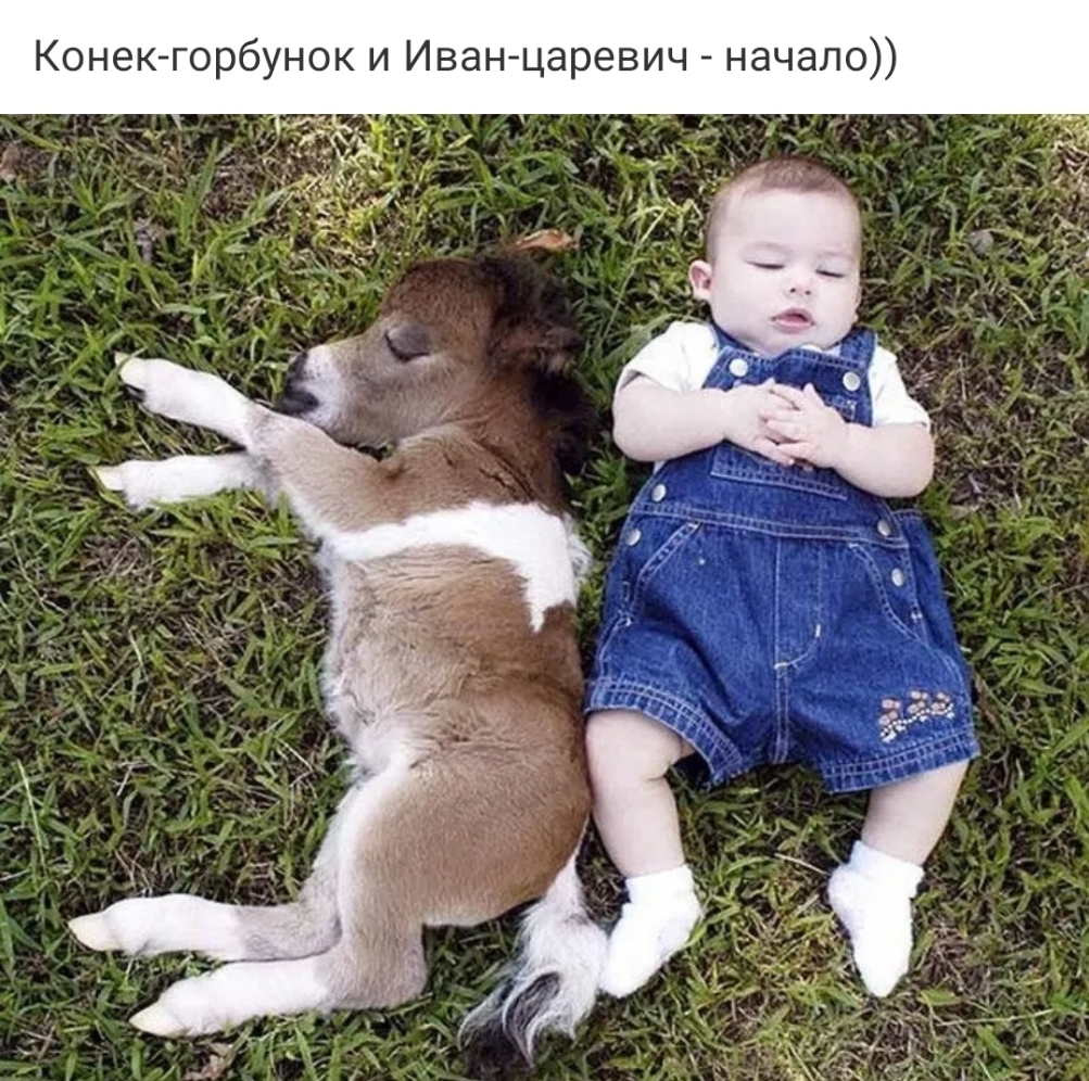 Конекгорбунок и Иванцаревич начало