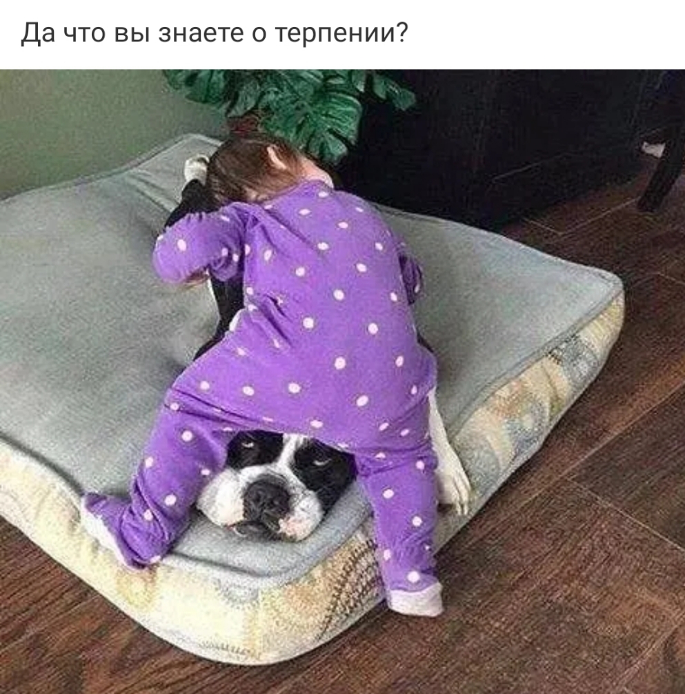 Да ЧТО ВЫ знаете О терпении
