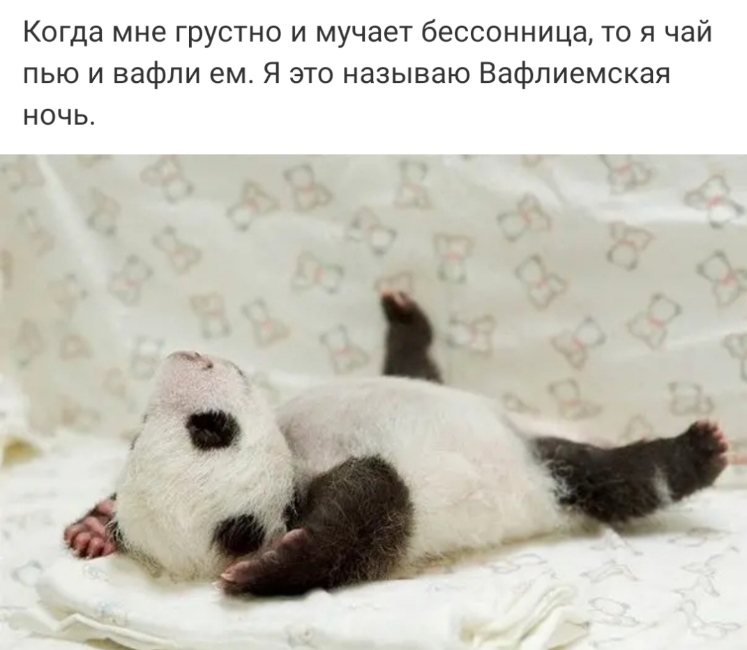 Когда мне грустно и мучает бессонница то я чай пью и вафли ем Я это называю Вафпиемская ночь