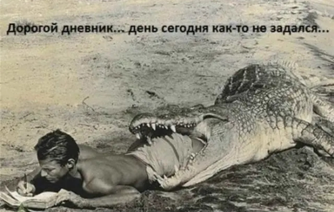 дарагой дневнцк_д_ень сегодня как тр не задача