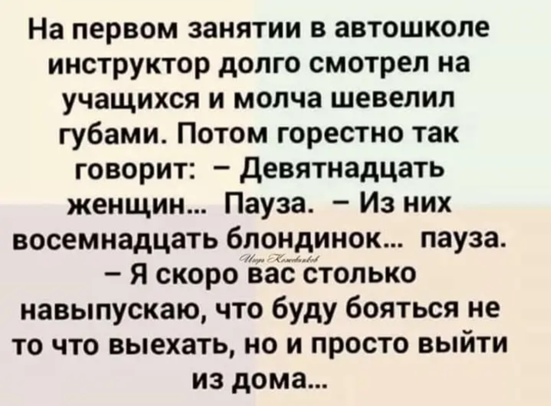 На первом занятии в автошколе инструктор долго смотрел на учащихся и молча шевелил губами Потом горестно так говорит Девятнадцать женщин Пауза Из них восемнадцать блондинок пауза Я скоро вае столько навылускаю что буду бояться не то что выехать но и просто выйти из дома