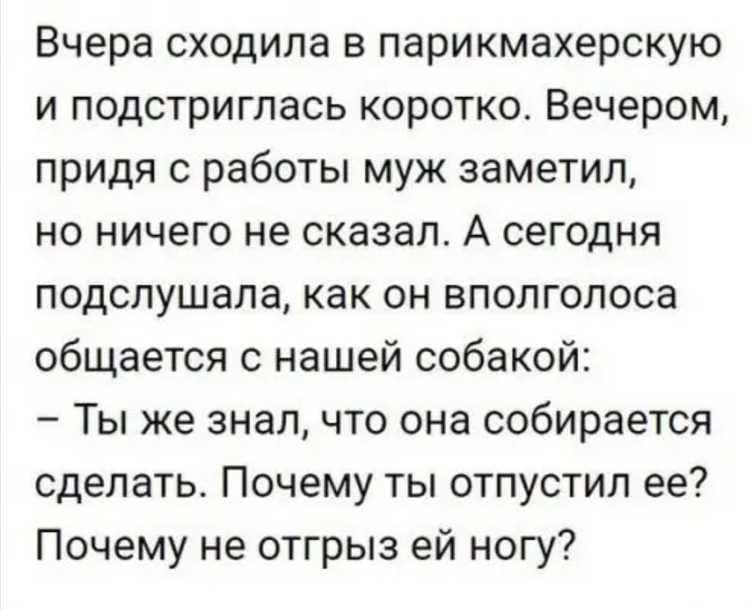 Вчера сходила в парикмахерскую и подстриглась коротко Вечером придя с работы муж заметил но ничего не сказал А сегодня подслушала как он вполголоса общается с нашей собакой Ты же знал что она собирается сделать Почему ты отпустил ее Почему не отгрыз ей ногу