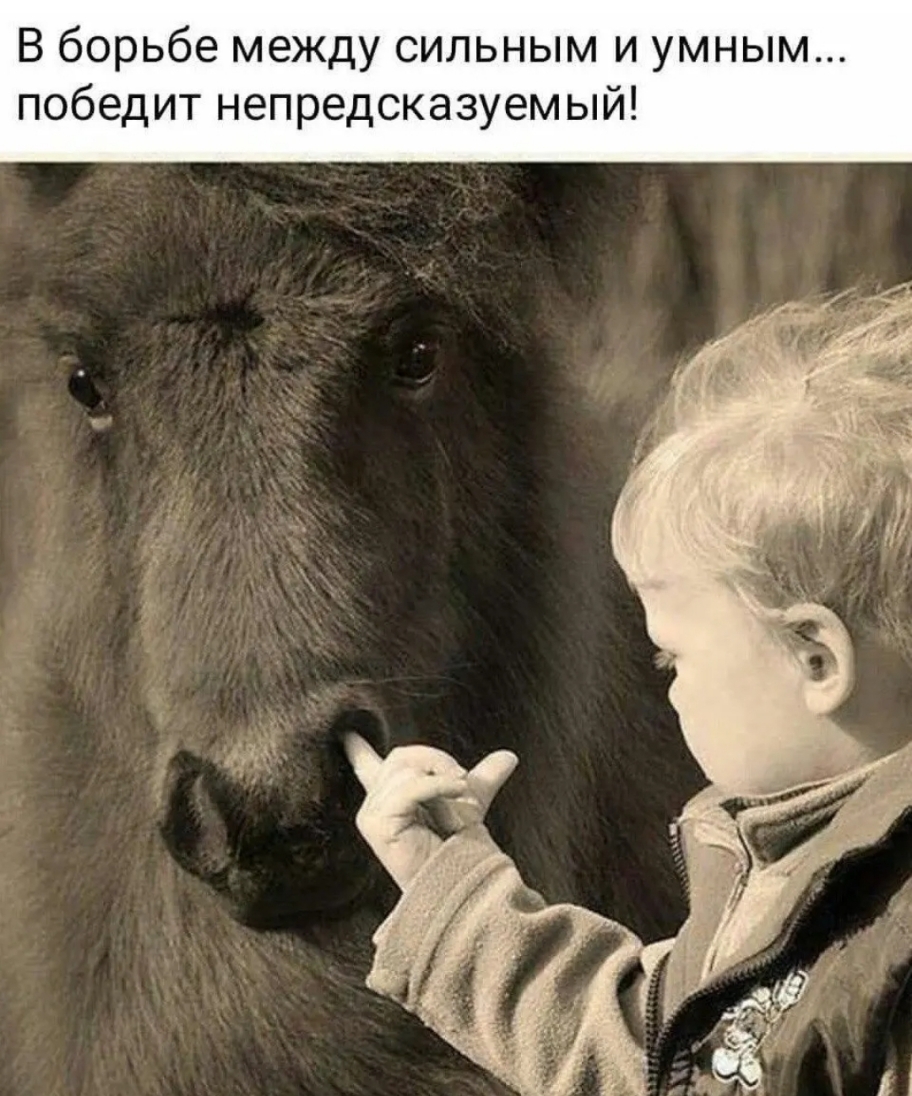В борьбе между сильным и умным победит непредсказуемый