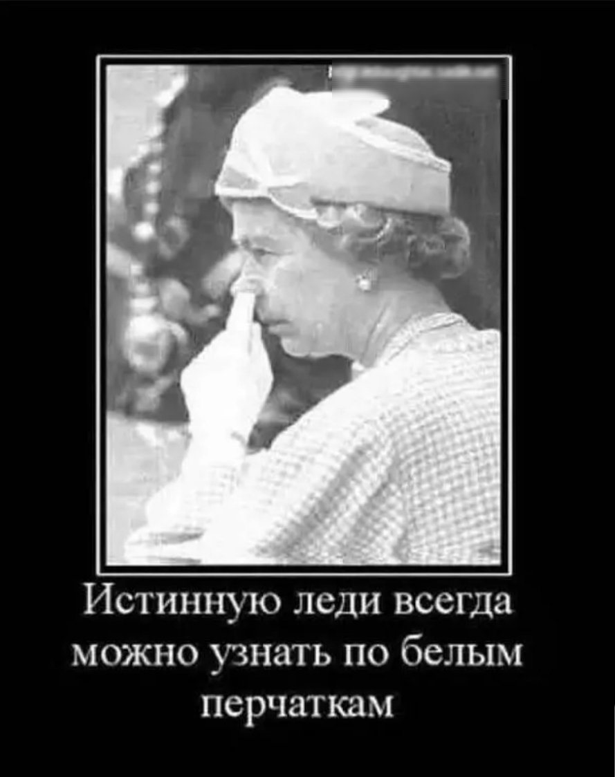 Истинную леди всегда можно узнать по белым перчаткам