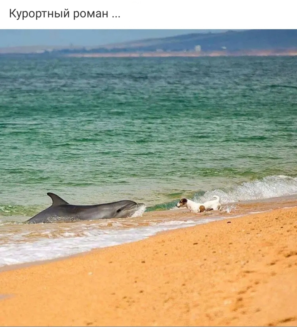 Курортный роман