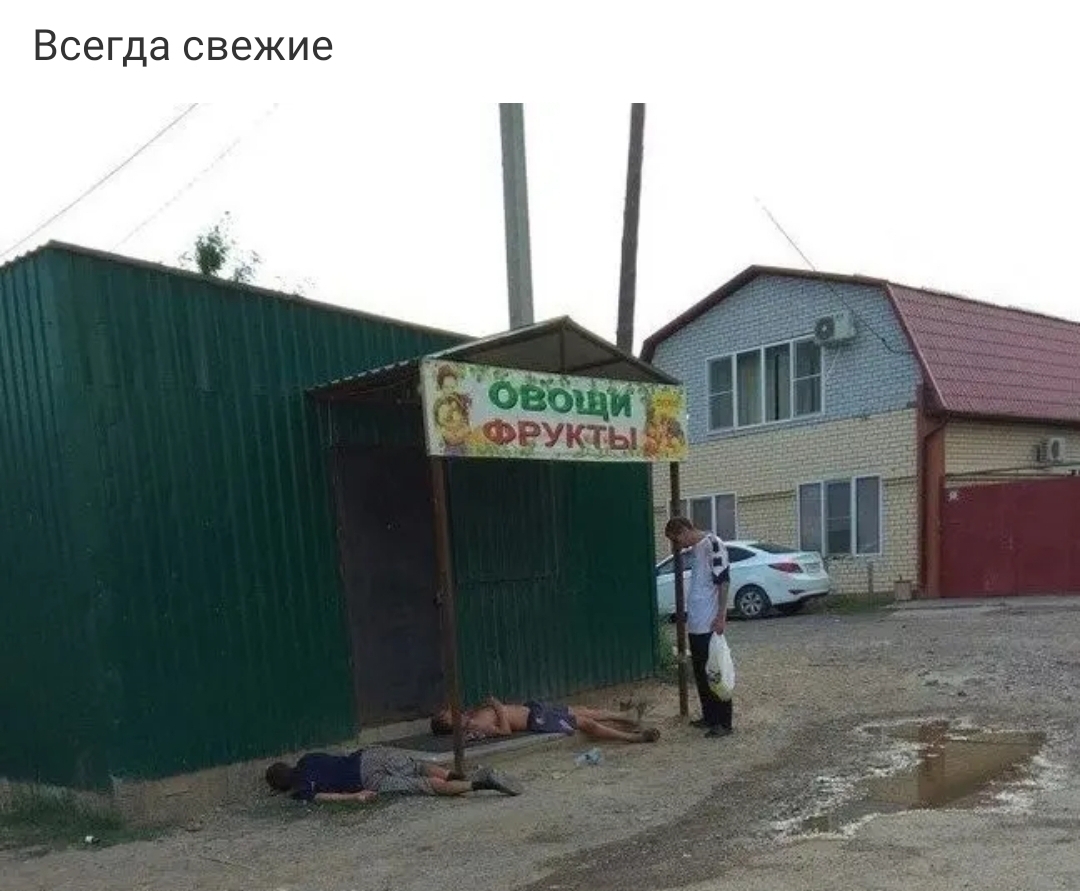 Всегда свежие