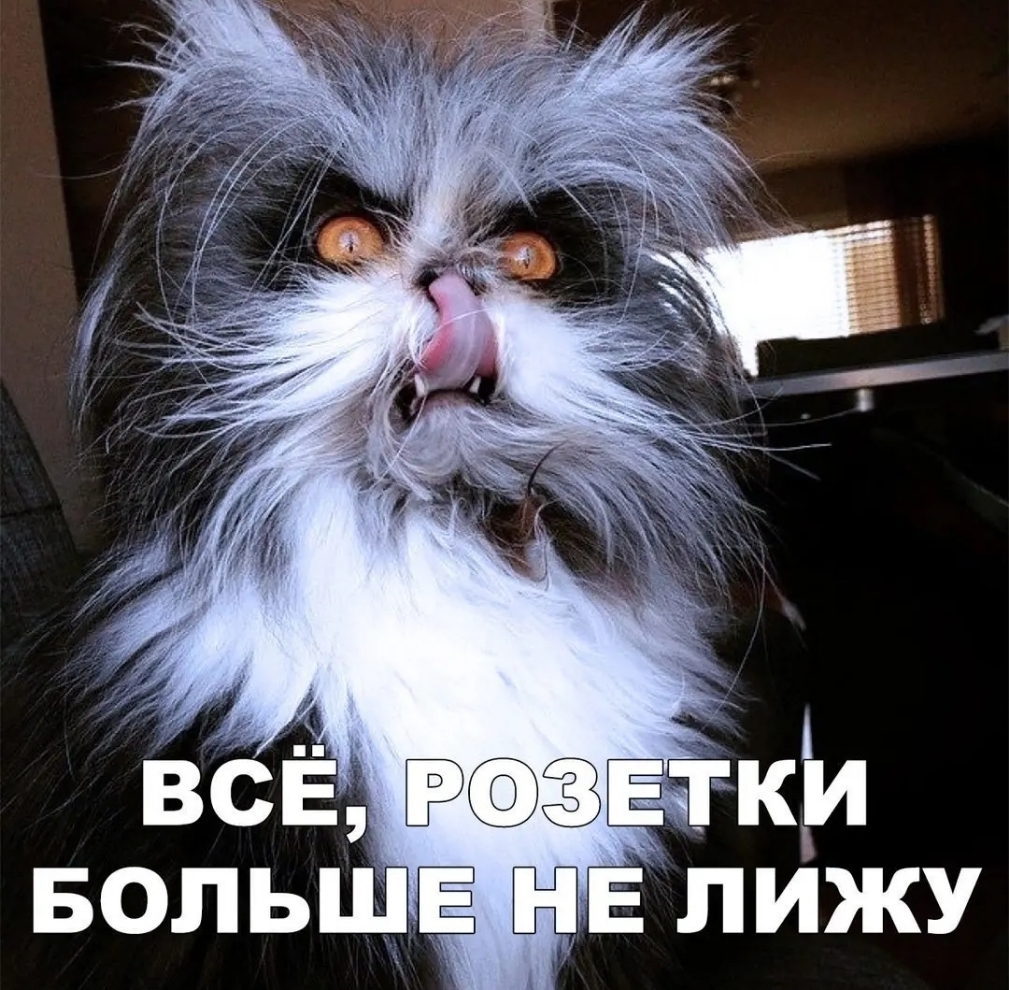 ВСЁ ЕчТКИ БОЛЬШЕ НЕ ЛИЖУ