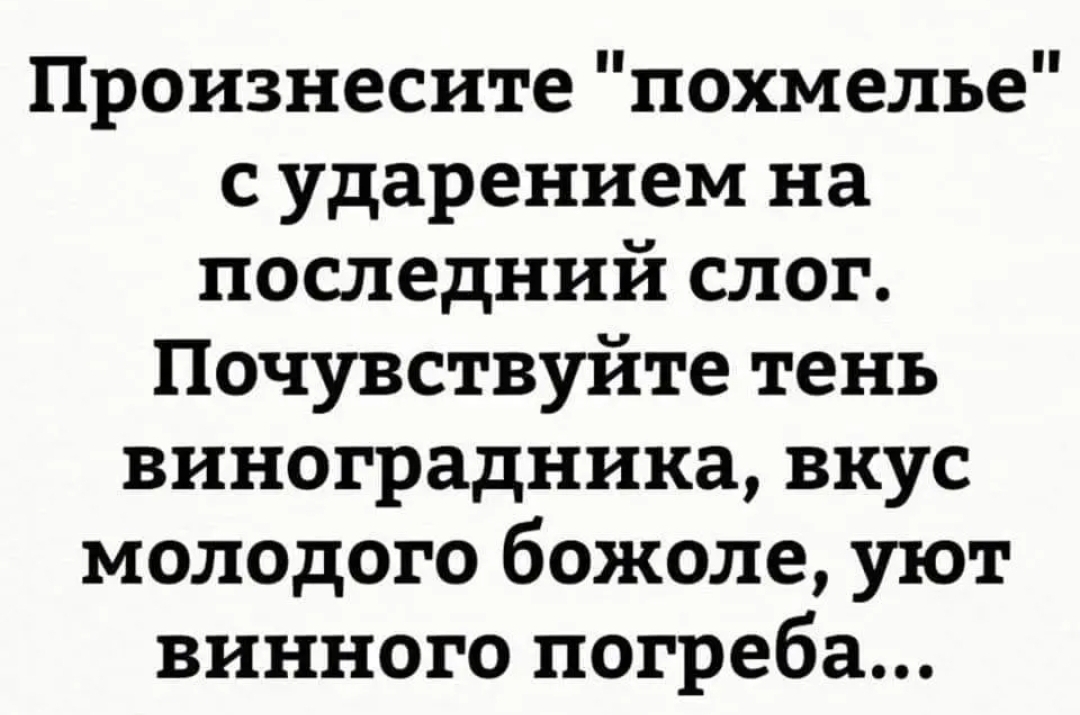 Произнесите похмелье с ударением на последний слог Почувствуйте тень виноградника вкус молодого божоле уют винного погреба