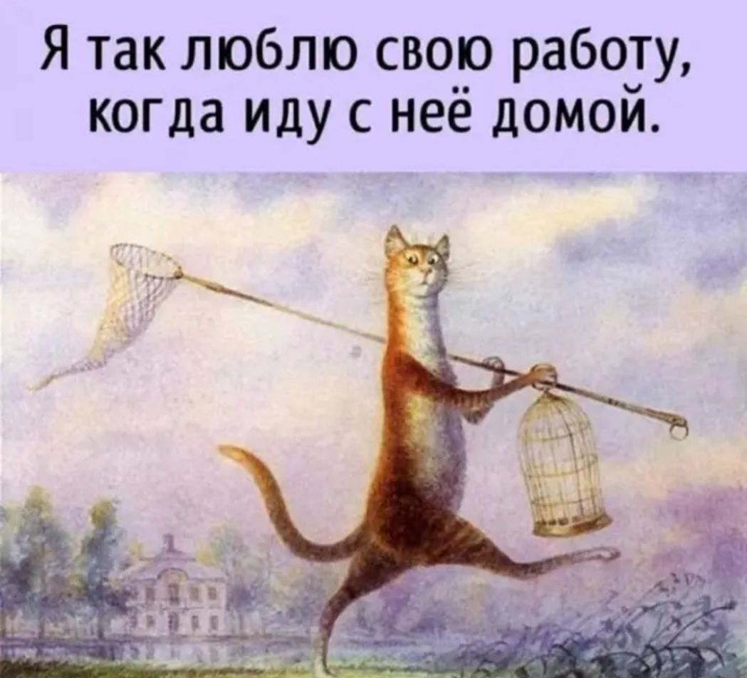 Я так люблю свою работу когда иду с неё домой