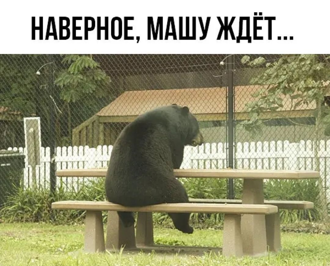 НАВЕРНОЕ МАШУ ЖДЁТ __ і а _