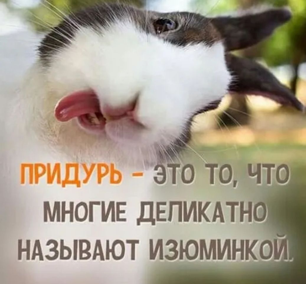 3 точто МНОГИЕ ДЕПИКАТН _ НАЗЫВАЮТ ИЗЮМИНКО