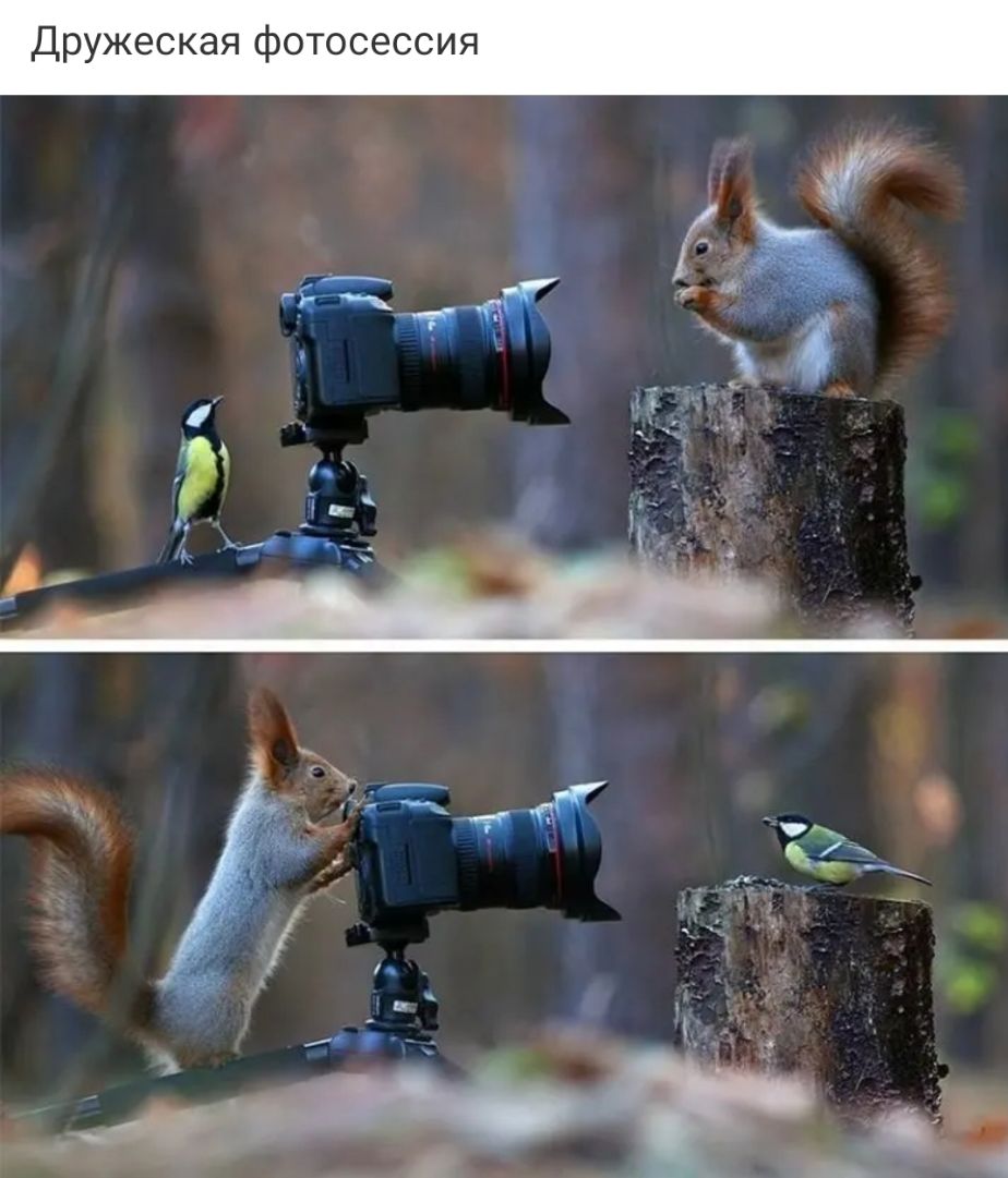 Дружеская фотосессия