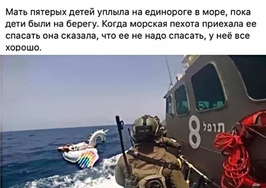 Мать пятерых детей уплыла на единороге в море пока дети были на берегу Когда морская пехота приехала ее спасать она сказала что ее не надо спасать у неё все хорошо
