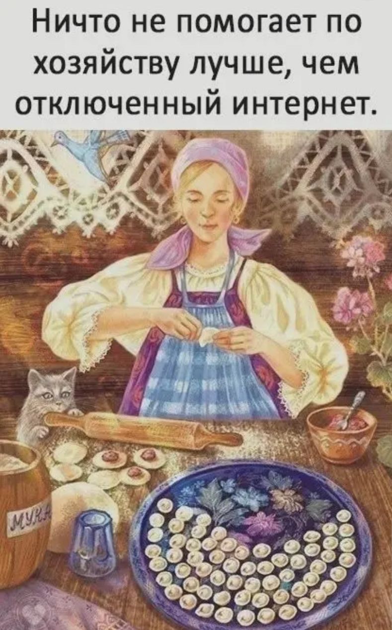 Ничто не помогает по хозяйству лучше чем отключенный интернет