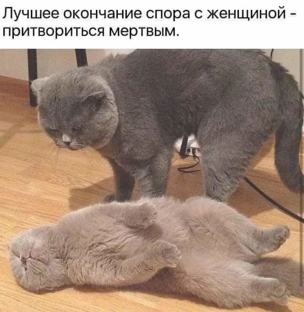 лучшее окончание спора С женщиной притвориться мертвым