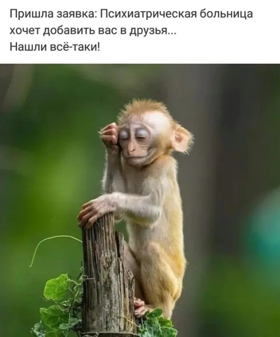 Пришла заявка Психиатрическая больница хочет добавить вас в друзья Нашли всё таки