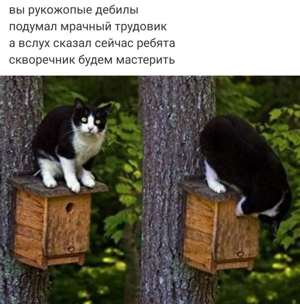 ВЫ РУКОЖОПЫЭ дебилы ПОДУМЭЛ мрачный трудовик а вслух сказал сейчас ребята скворечник будем мастерить