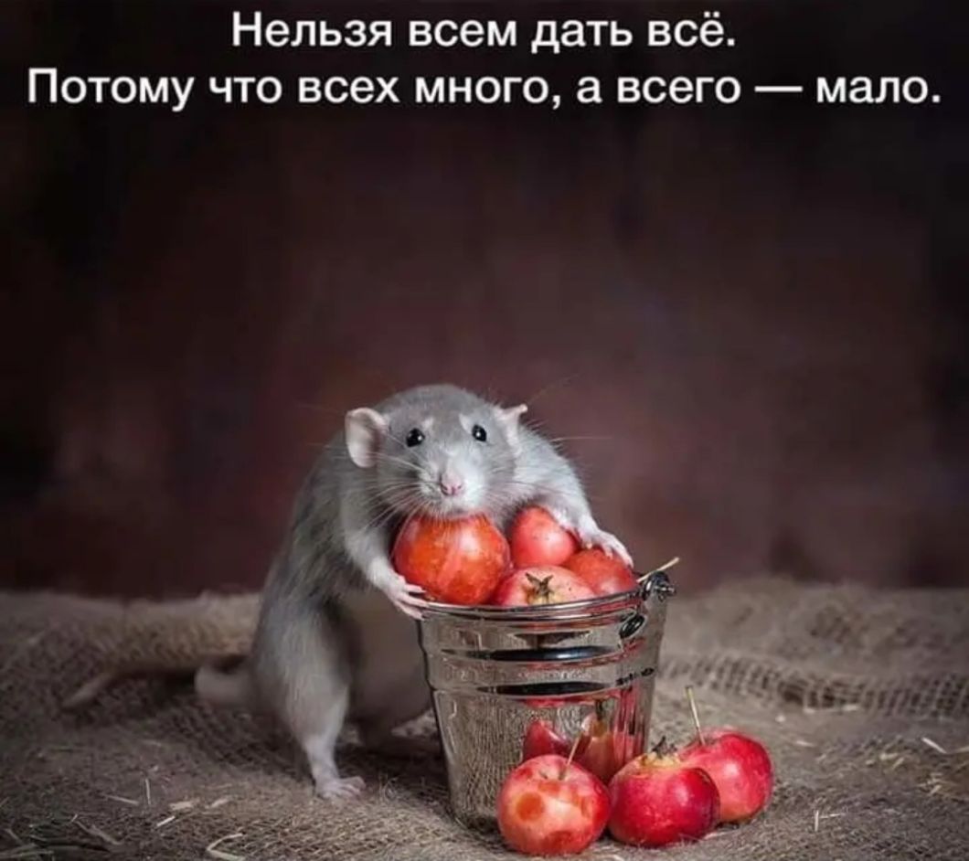 Нельзя всем дать всё Потому что всех много а всего мало
