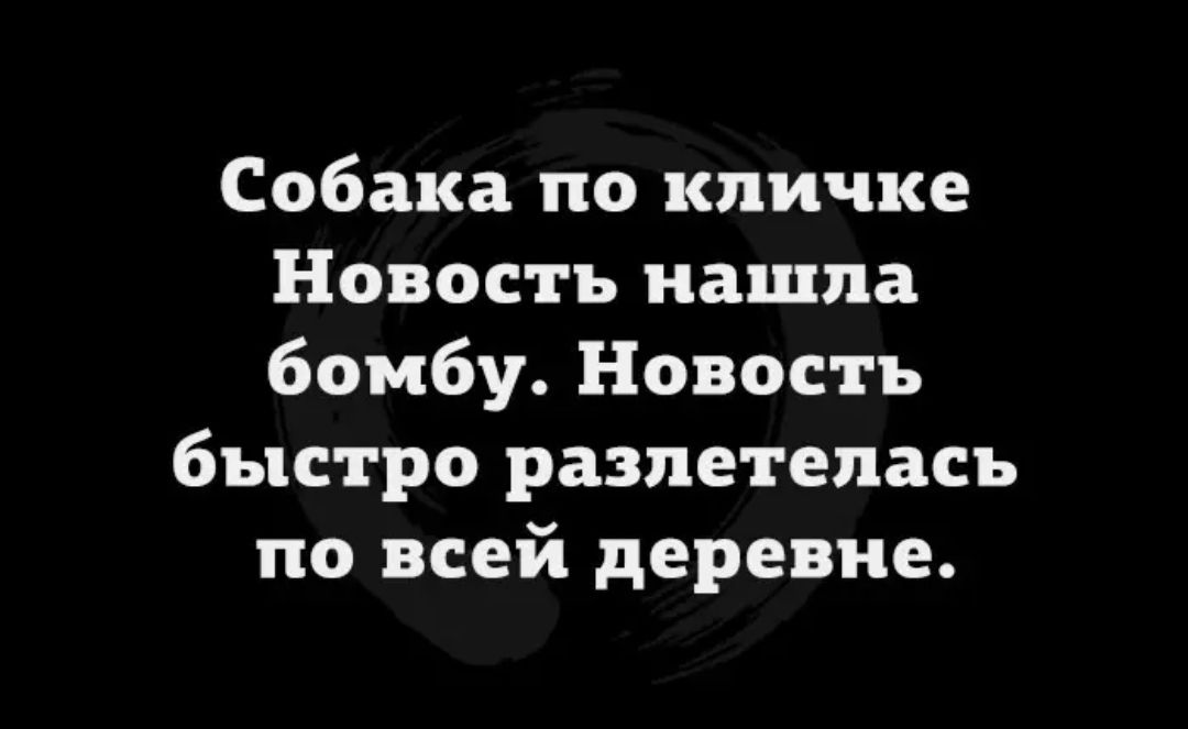 Собака по кличке Новость нашла бомбу Новость быстро разлетелась по всей деревне