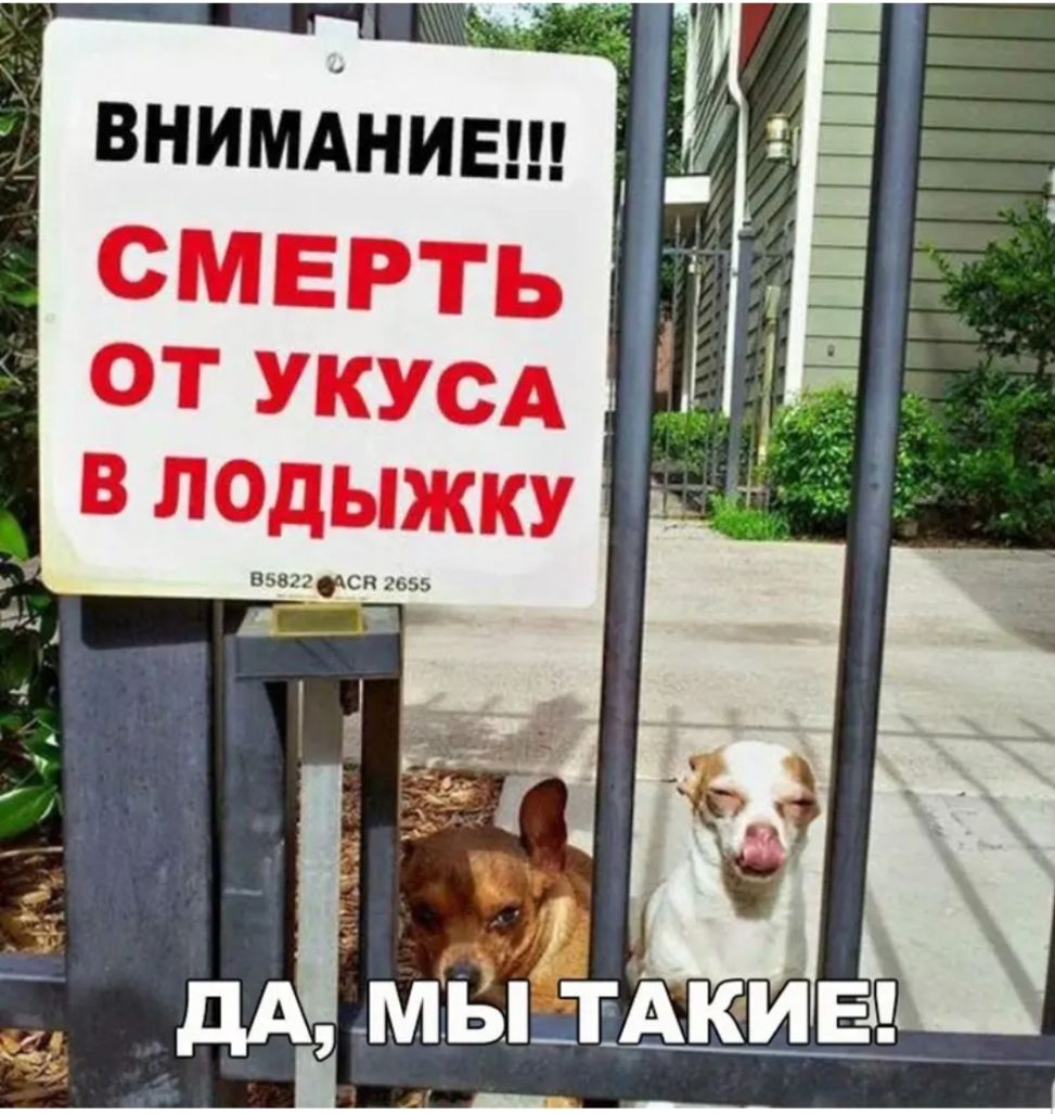 внимАнивш смерть ОТ УКУСА ВЛОДЫЖКУ