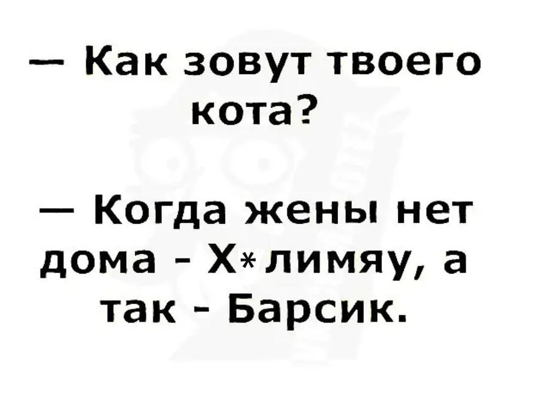 Как зовут твоего кота Когда жены нет дома Хлимяу а так Барсик - выпуск  №255372