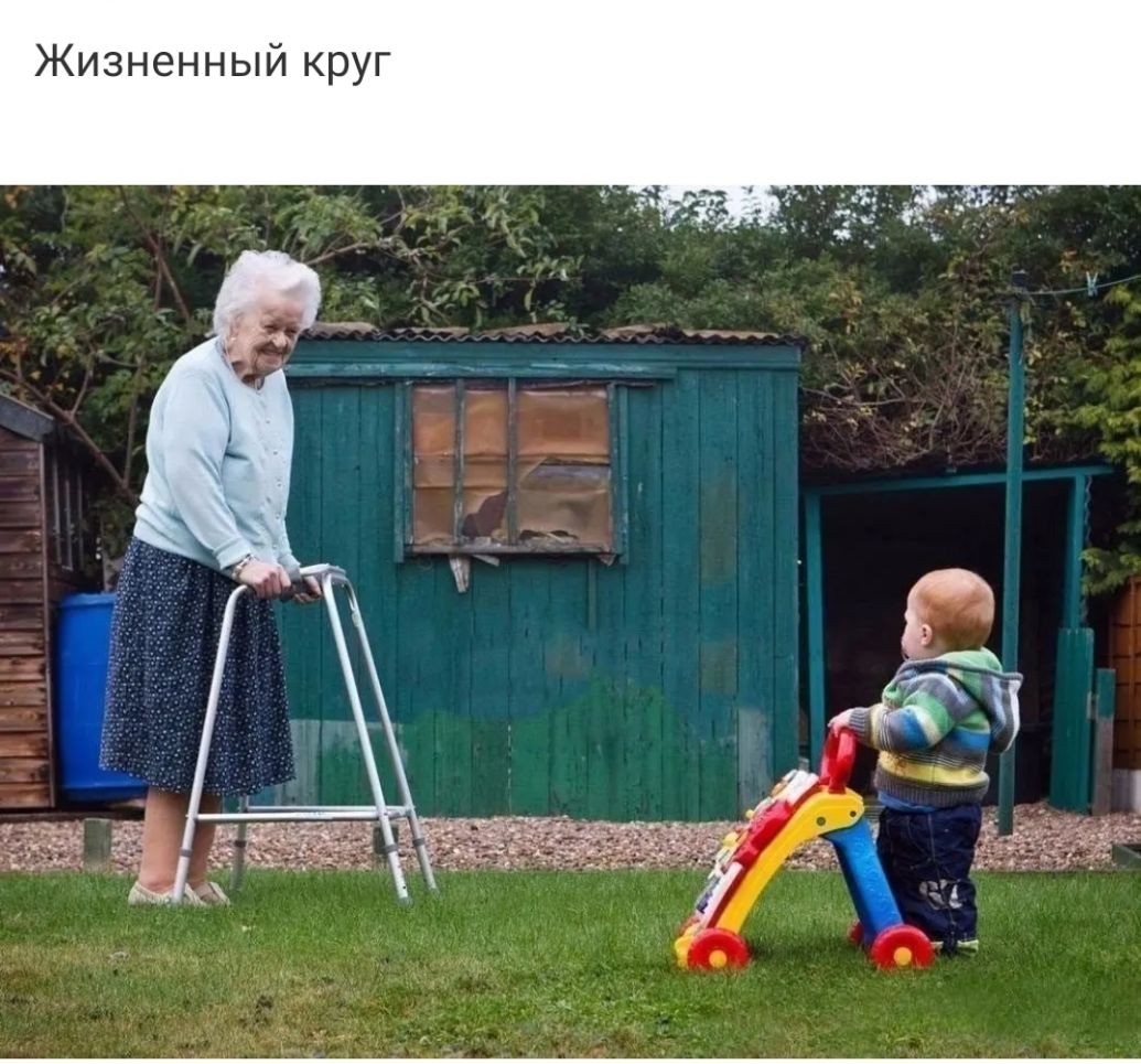 Жизненный круг