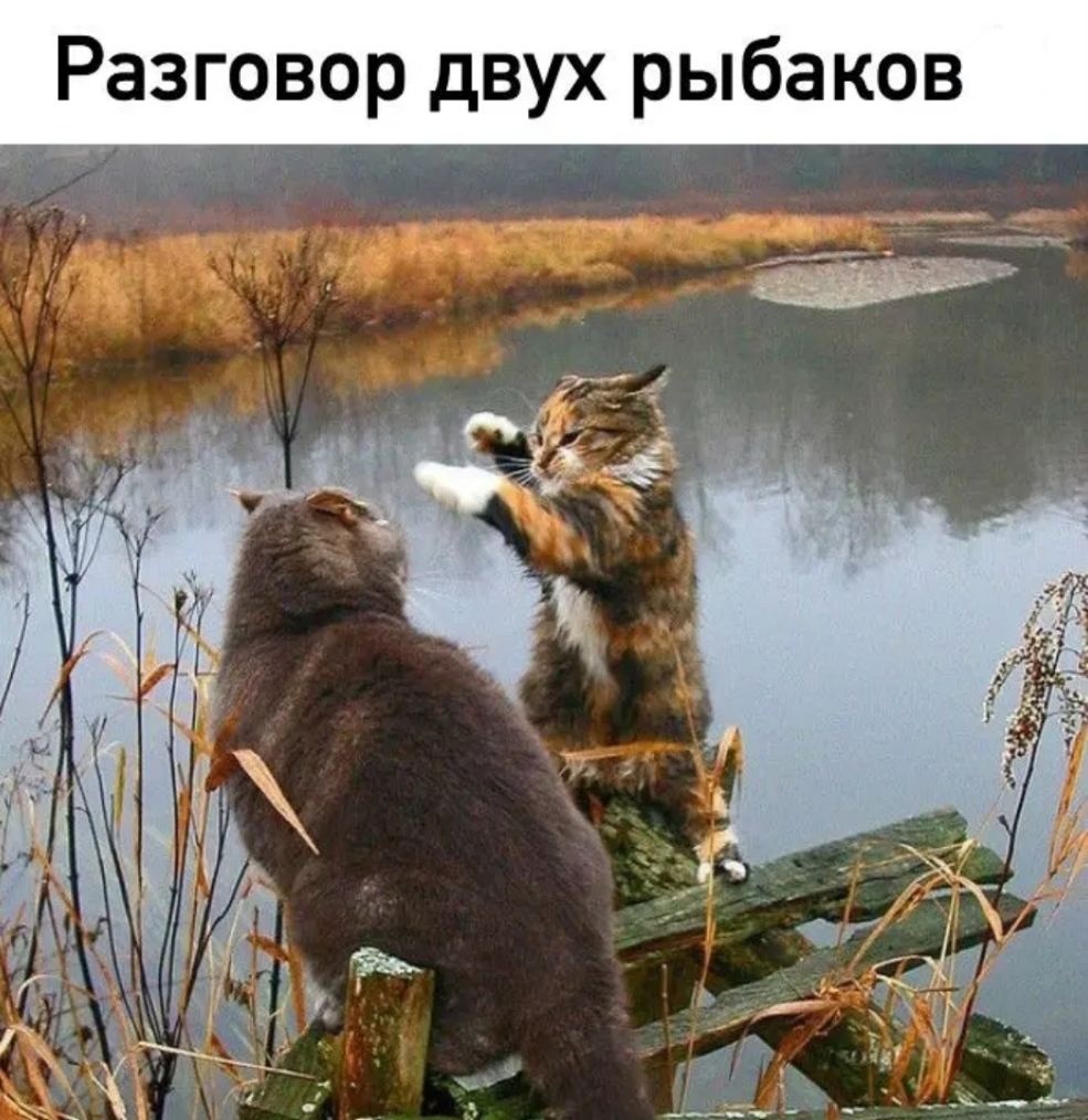 в о к а Щ Ь р в д р о В_ о г 3 а Р