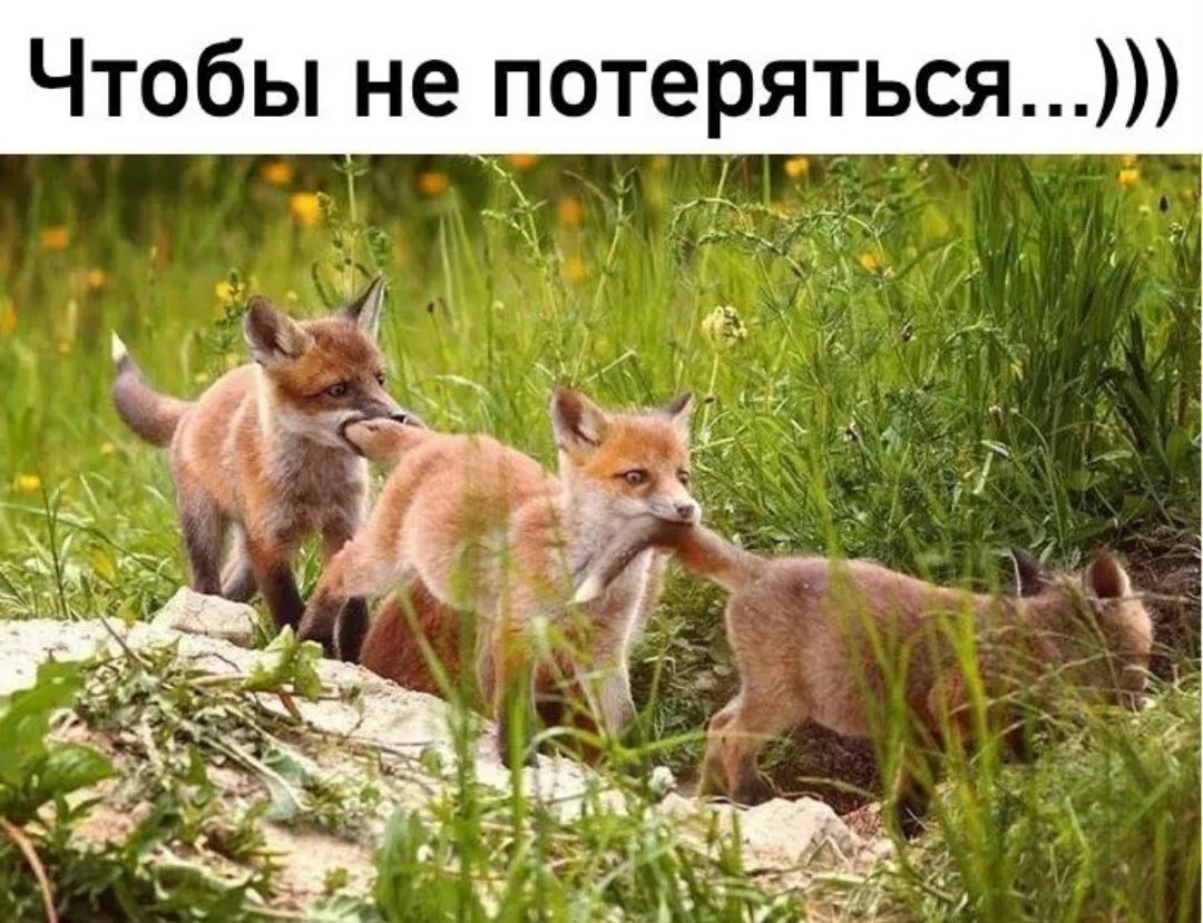 Чтобы не потеряться