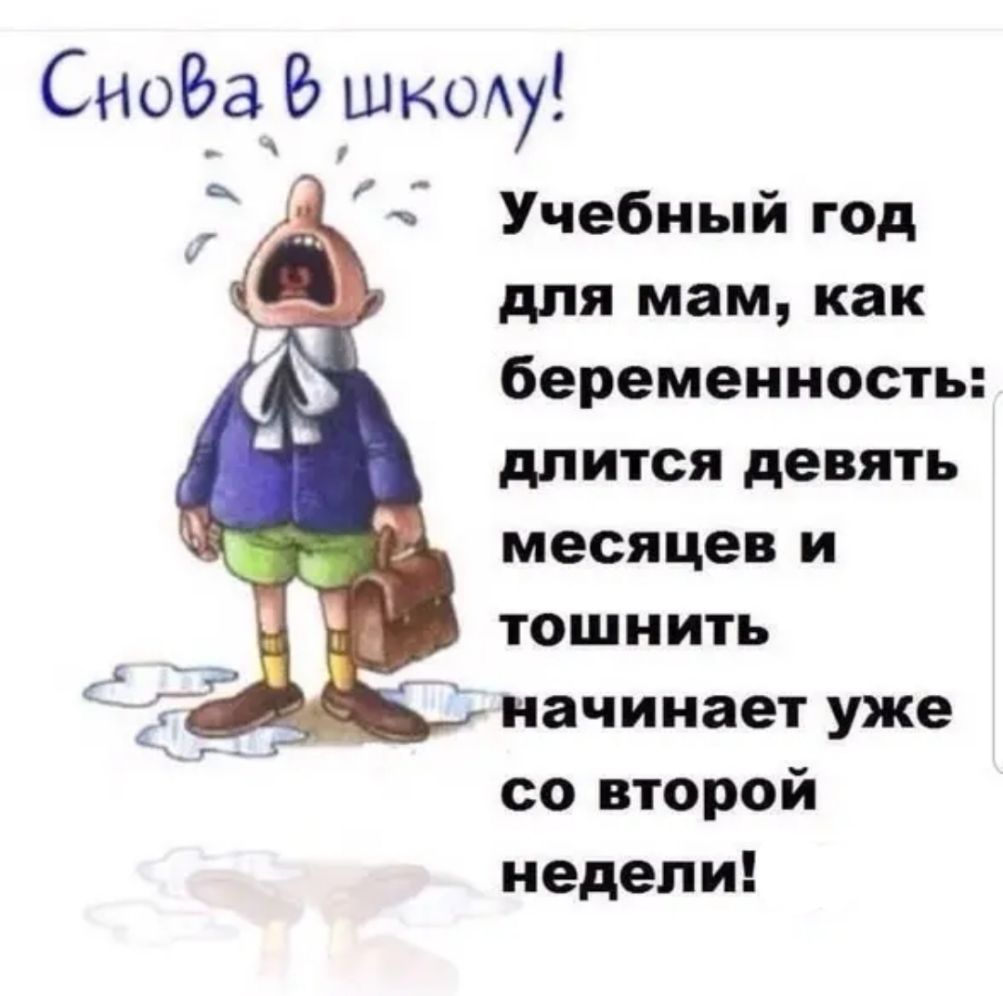 СноБа шкщу Учебный год для мам как беременность длится девять месяцев и тошнить начинает уже со второй недели