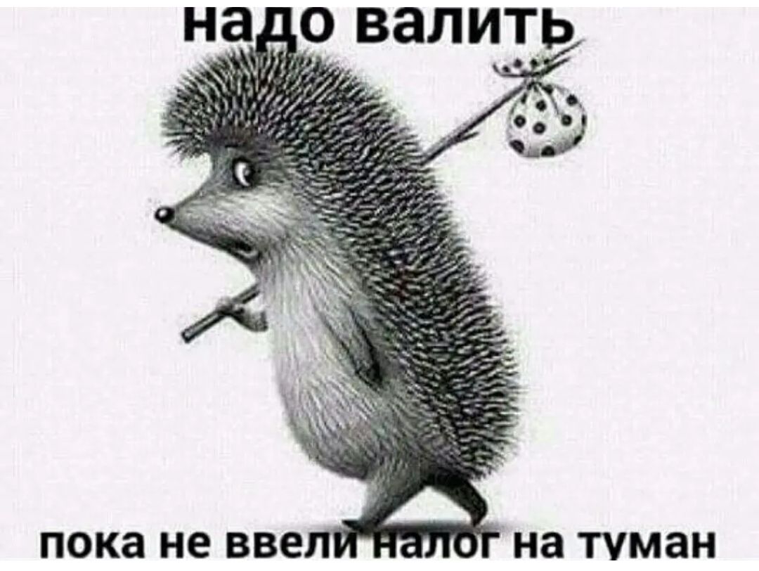 пока не ВВЕ на туман