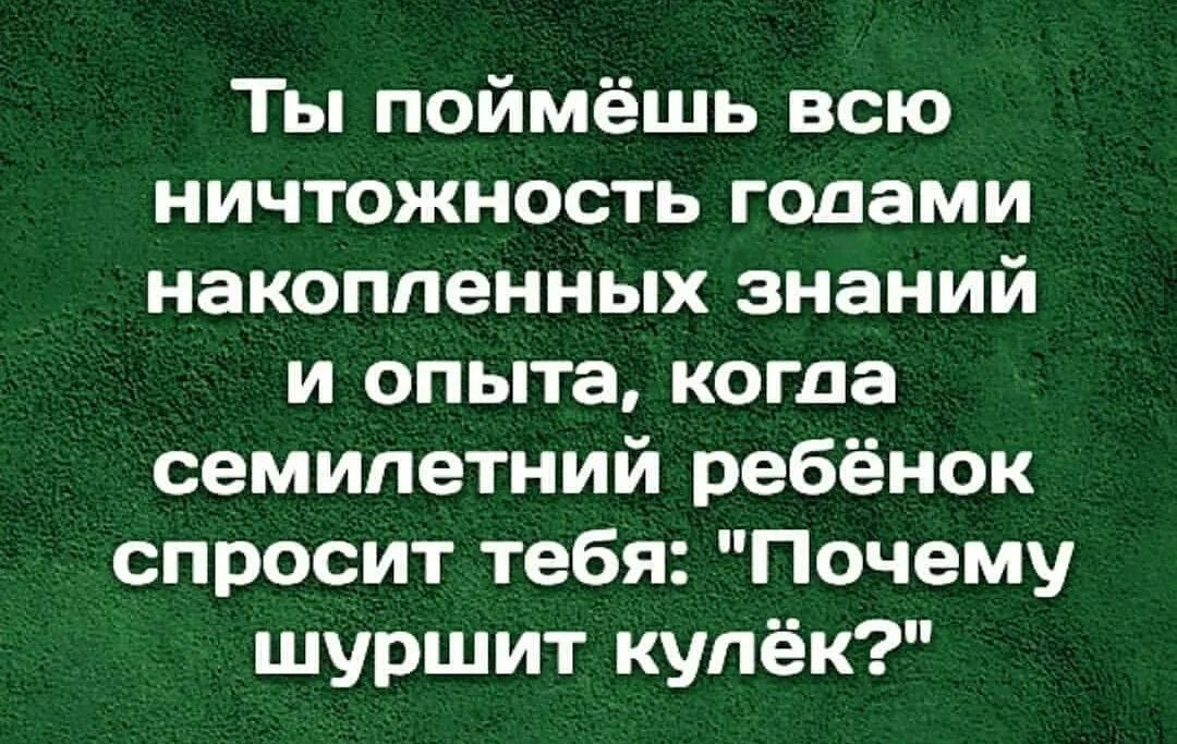 Ты поймёшь всю ничтожность годами накопленных знаний и опыта когда семилетний ребёнок спросит тебя Почему шуршит купёк