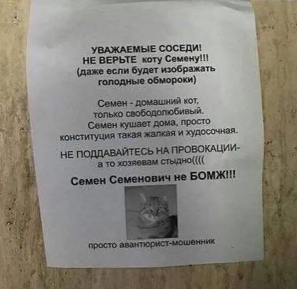 УВАЖАЕМЫЕ соседи НЕ ВЕРЬТЕ коту Семену дам если будет