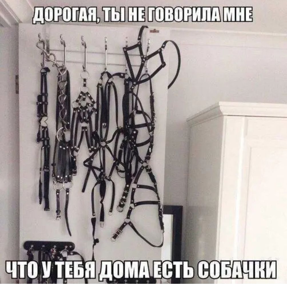 _ _ догогмМювогипд т т