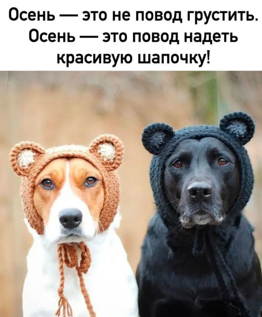 Осень это не повод грустить Осень это повод надеть красивую шапочку 3