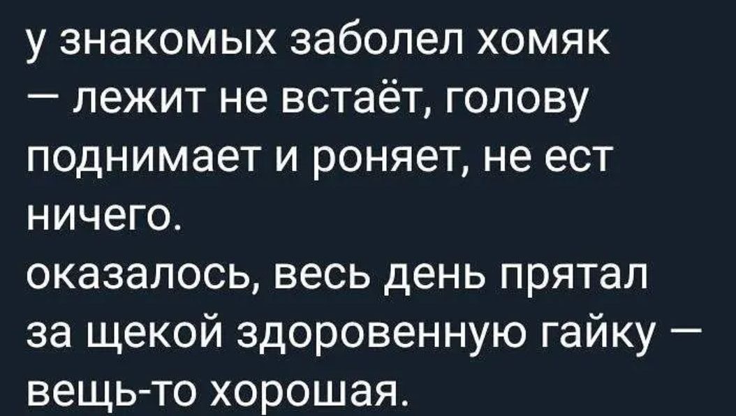 у знакомых заболел хомяк лежит не встаёт голову поднимает и роняет не ест ничего оказалось весь день прятал за щекой здоровенную гайку вещь то хорошая