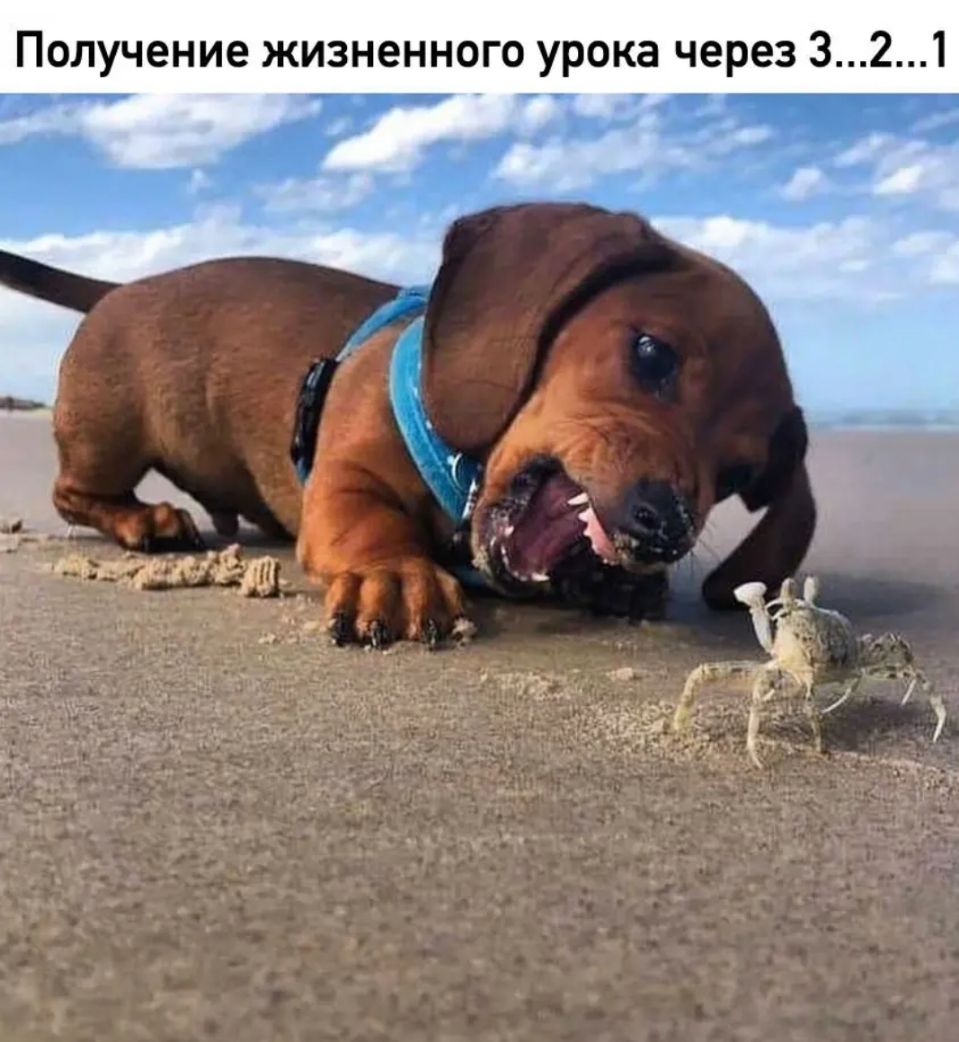 Получение жизненного урока через 321 _ _ 1 7 _ _ у _ _
